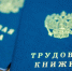 Меры по снижению неформальной занятости - Администрация г. Курган