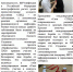 Всемирный день борьбы со СПИДом - ГБПОУ КБМК