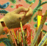Троицкая площадь в Кургане превратилась в город мастеров - Курган и курганцы