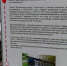 В Кургане приводят в порядок туристические стенды, которые испортили хулиганы - Область 45