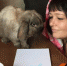 Курганцы присоединились к акции #БудьДома #ЕРпомогает! - Телеканал Зауралье