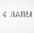 Собака, которая знает более 70-ти команд и фестиваль бездомных животных - Область 45