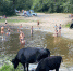 новости курган - Курган и курганцы