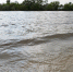 Курганские водолазы обследуют дно городских водоёмов - Администрация г. Курган
