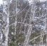 Фото из архива ИА KURGAN.RU - Kurgan.Ru