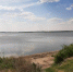 Фото с места происшествия предоставлено СУ СКР по Курганской области - Kurgan.Ru