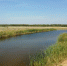 Фото с осмотра места происшествия предоставлено СУ СКР по Курганской области - Kurgan.Ru