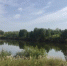 Фото с места происшествия предоставлено СУ СКР по Курганской области - Kurgan.Ru