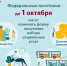 Социальные услуги или денежная компенсация: сделать выбор можно до 1октября - Пенсионный фонд