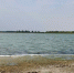 новости курган - Курган и курганцы