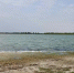 Фото с места происшествия предоставлено СУ СКР по Курганской области - Kurgan.Ru