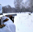 Двойная  жизнь - Новый мир