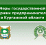 Каждый третий предприниматель в Курганской области является социальным - Новый мир