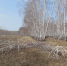 новости курган - Курган и курганцы