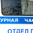В Кургане задержали сонную наркосбытчицу из Тюмени - Область 45