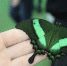 Вкусную профориентацию для школьников организовали в Лебяжье - Детско-юношеский центр Проспект 45