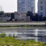 В Кургане вода в Тоболе не соответствует нормам - Курган и курганцы