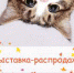 Творческая студия предлагает помочь бездомным кошкам - Библиотечная информационная система