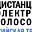 Зауральцы могут принять участие в общероссийском тестировании системы дистанционного электронного голосования (ДЭГ) - Избирательная комиссия
