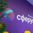 Курганские учителя смогут пользоваться библиотекой идей от Сферума - Новый мир