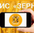 В ближайшее время планируется интеграция ФГИС «Зерно» и ЕФИС ЗСН - Департамент сельского хозяйства