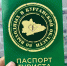 600 человек путешествовали по Зауралью с паспортами туриста - Курган и курганцы