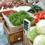 Курганские аграрии повезут свою продукцию на международную выставку - Область 45