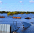 В Кургане вода в Тоболе за сутки поднялась почти на 100 сантиметров - Область 45