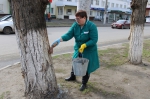 Субботник