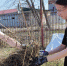В Зауралье судебные приставы подарили новые дома двум спасённым во время паводка собакам - Новый мир