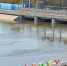 Уровень воды в Тоболе в районе Кургана продолжает снижаться - Область 45
