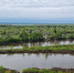 ​В Курганской области все жилые дома освободились от воды - Kurgan.Ru