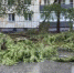 В пострадавших от штормовой погоды сёлах Курганской области приступили к восстановлению домов и соцобъектов - Новый мир