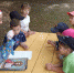 В Кургане сестра милосердия рассказала детям о Яблочном Спасе - Епархия