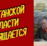 В музее Травникова расскажут о людях, прославивших Курганскую область - Новый мир
