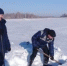 В Курганской области отмечена хорошая перезимовка озимых культур - Департамент сельского хозяйства