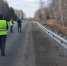 На мостах и дорогах Курганской области проведут гарантийный осмотр - Департамент строительства, госэкспертизы и ЖКХ