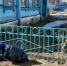 В селе Альменево пятилетний малыш вышел на взрослый субботник - Новый мир