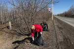 В Кургане прошёл первый общегородской субботник