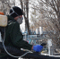 ​Городские кладбища обработают от клещей и грызунов - Kurgan.Ru