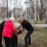 Общественники внесли свой вклад в уборку города - Общественная палата