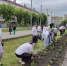В Кургане провели традиционную акцию «Цветущая георгиевская ленточка» - Общественная палата