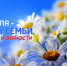 День семьи, любви и верности. Афиша мероприятий - Администрация г. Курган