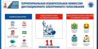 ЦИК России сформирован состав ТИК дистанционного электронного голосования - Избирательная комиссия