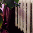 Власти просят курганские управкомпании ускорить подготовку к отопительному сезону - Область 45