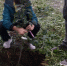 «Капля жизни» и «Яблоня героя»: в курганском селе вспомнили жертв Беслана и почтили память воинов СВО - Новый мир