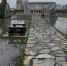 В парке 4-го микрорайона в Кургане оборудуют систему водоотведения - Область 45