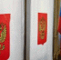 Правонарушители голосуют в курганском СИЗО - Новый мир