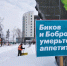 митинг против мусорной реформы, мусорная реформа, Тюмень(2019)|Фото: Накануне.RU - ИА Накануне.RU