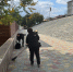 В городе наводят порядок - Администрация г. Курган